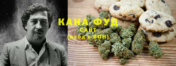 гашик Горнозаводск
